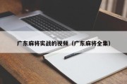 广东麻将实战的视频（广东麻将全集）
