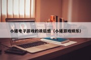 小猪电子游戏的读后感（小猪游戏娱乐）